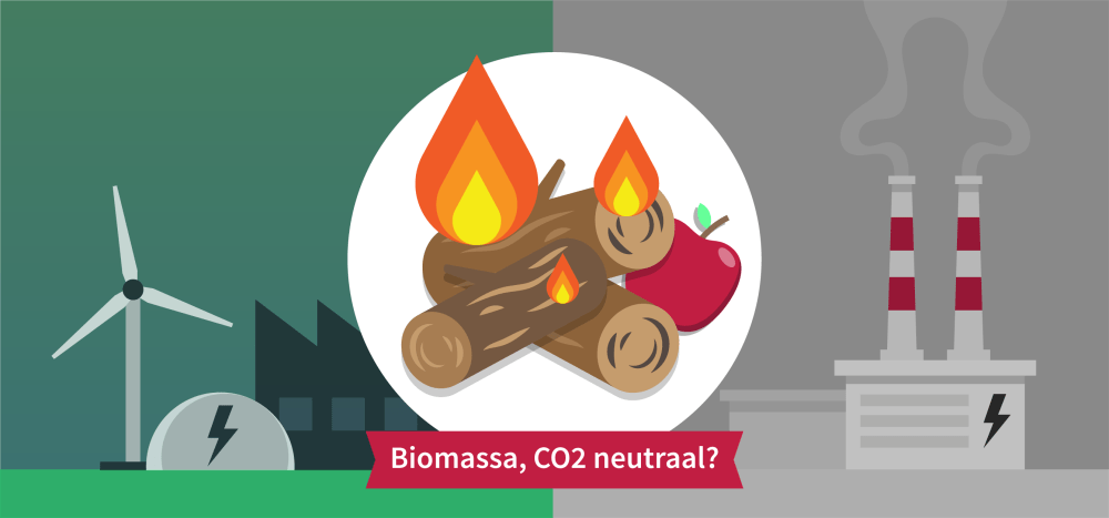 Wat is biomassa en hoe duurzaam is het? | Gaslicht.com